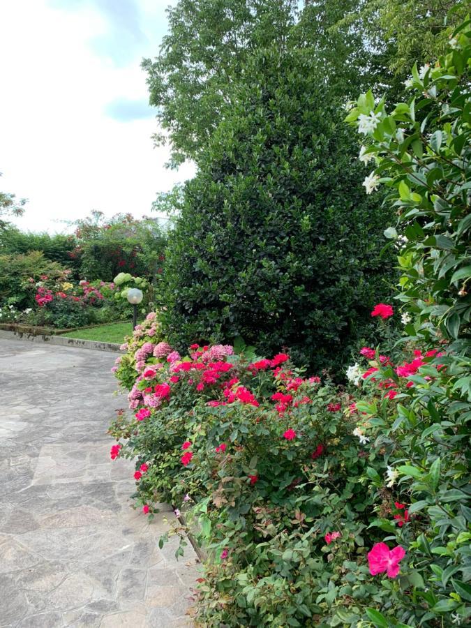 Casa Serenella Villa Piazzola sul Brenta Bagian luar foto