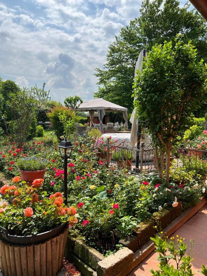 Casa Serenella Villa Piazzola sul Brenta Bagian luar foto