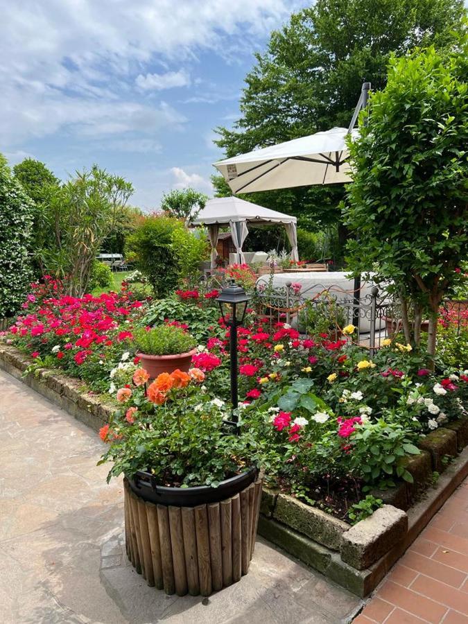 Casa Serenella Villa Piazzola sul Brenta Bagian luar foto