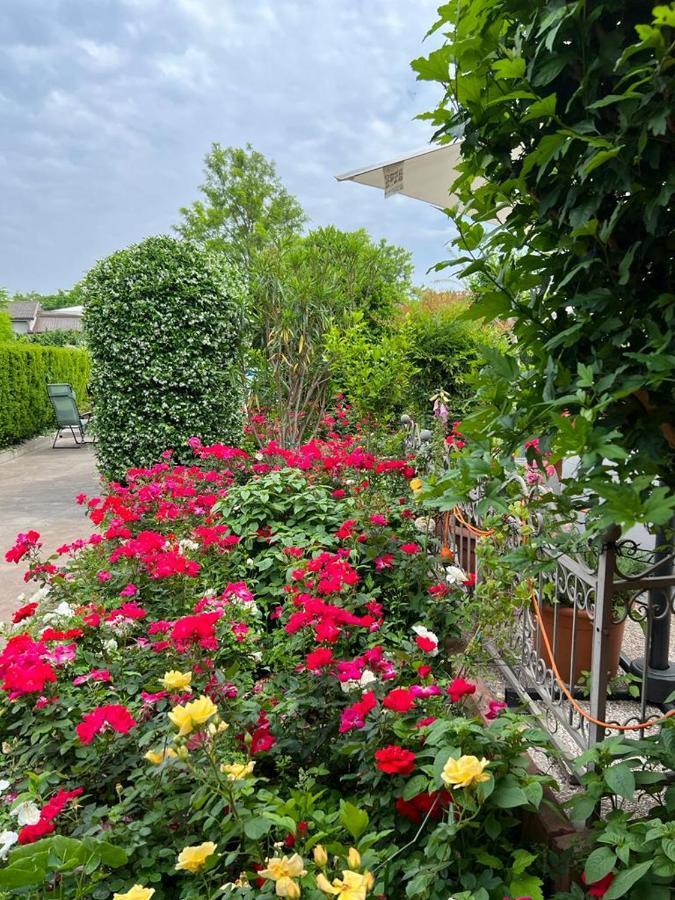 Casa Serenella Villa Piazzola sul Brenta Bagian luar foto