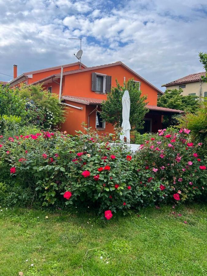 Casa Serenella Villa Piazzola sul Brenta Bagian luar foto