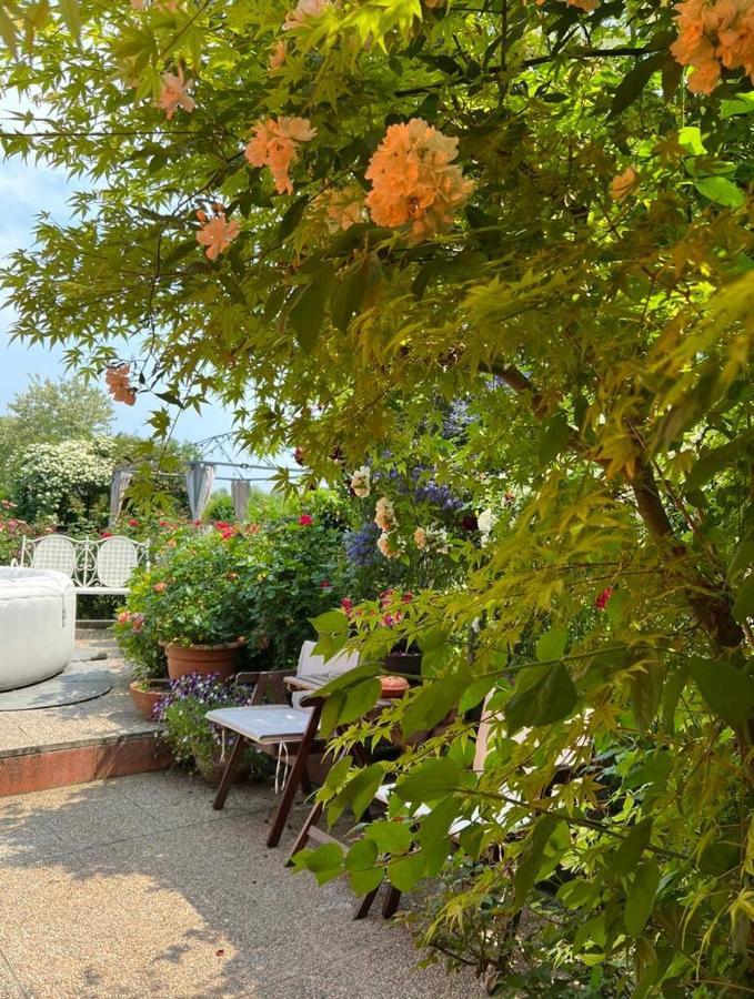 Casa Serenella Villa Piazzola sul Brenta Bagian luar foto