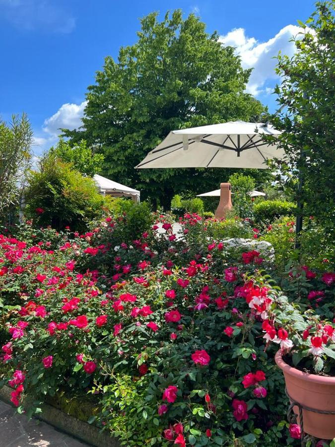 Casa Serenella Villa Piazzola sul Brenta Bagian luar foto